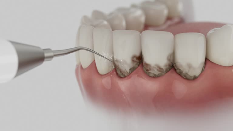 Reliable Dental contractor in Springville, VA by Dentist Open Now